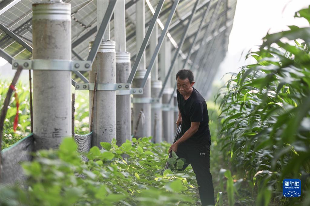 游艇会最新官方网站